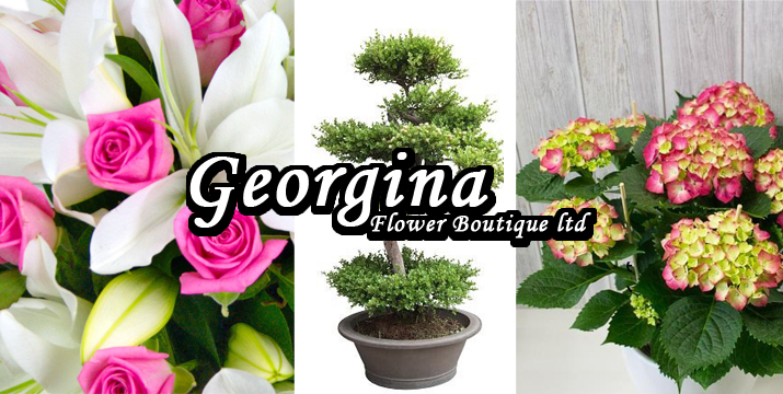 Georgina Flower Boutique - Nicosia, Cyprus