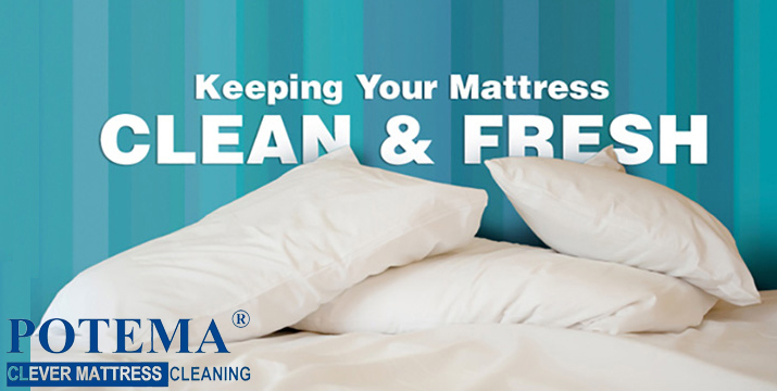potema clever mattress cleaning service nicosia - cyprus